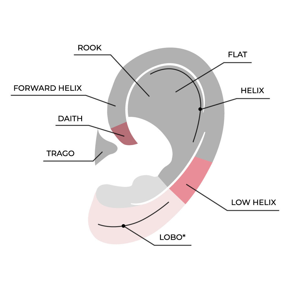 Dove applicare i nostri ear piercing