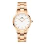 Orologio Al Quarzo Daniel Wellington Iconic Link Dw00100211