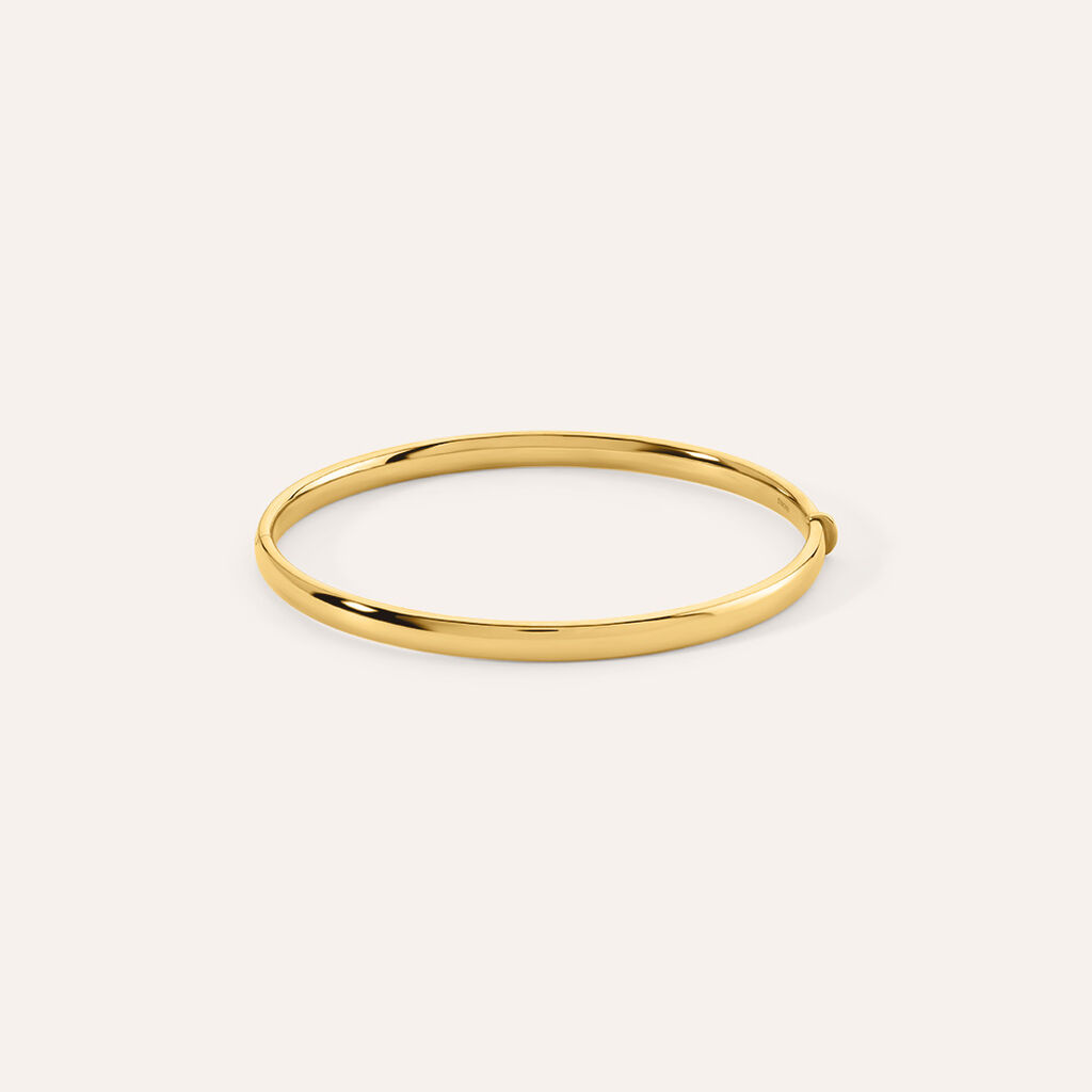 Bangle Desideria Argento Nobile Dorato