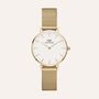 Orologio Al Quarzo Daniel Wellington Petite-evergold Dw00100350