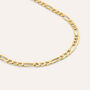 Bracciale Catena L'homme Or Oro Giallo