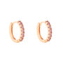 Orecchini A Cerchio Silver Rainbow Argento Rosa Cubic Zirconia