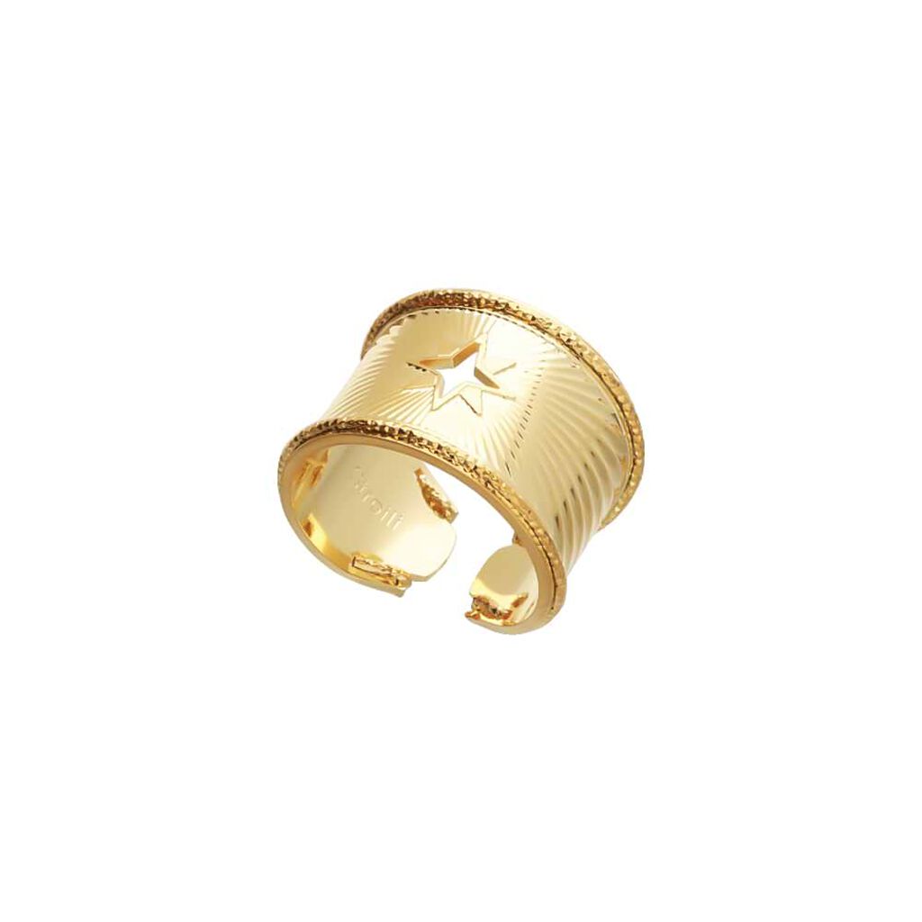 Anello rosa dei venti a fascia in bronzo dorato - Anelli Donna | Stroili