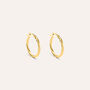 Orecchini A Cerchio Toujours Oro Giallo