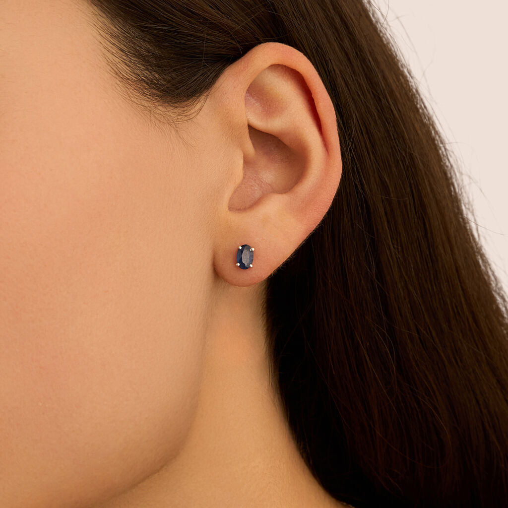 Orecchini Lobo Punto Luce Charlotte Oro Bianco Zaffiro