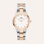 Orologio Al Quarzo Daniel Wellington Iconic Link Luminee Dw00100358
