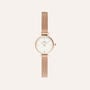 Orologio Al Quarzo Daniel Wellington Petite Mini Dw00100744