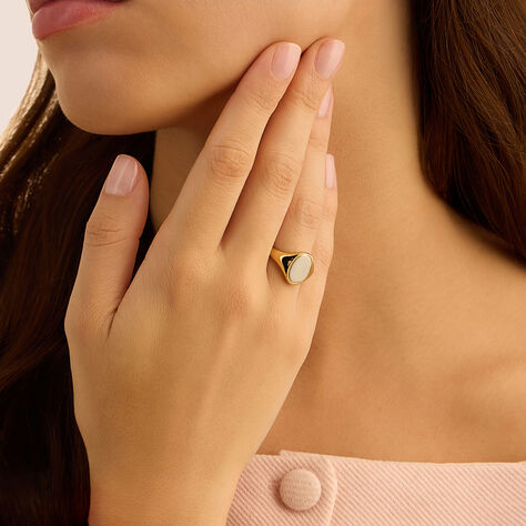 Anello Chevalier Radiance Acciaio Bicolore - Anelli Chevalier Donna | Stroili