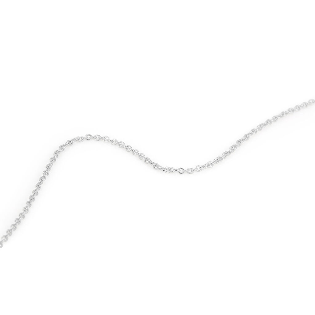 Catena Silver Collection Argento Rodiato - Collane Catena Donna | Stroili