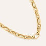 Catena Radiance Acciaio Dorato