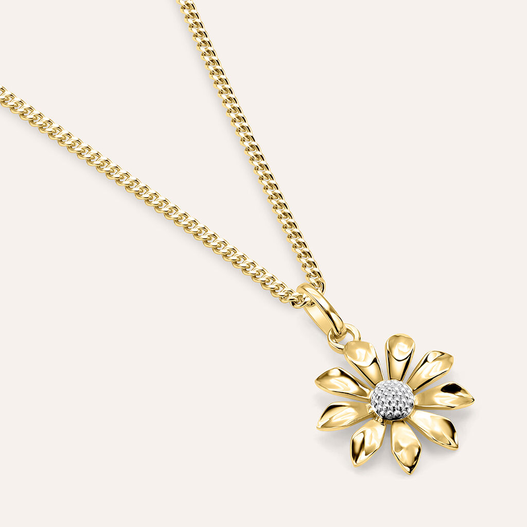 Pendente Po&egrave;me Oro Bicolore