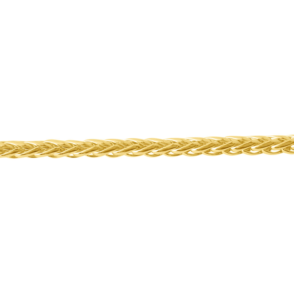 Catena Colette Oro Giallo - Collane Catena Donna | Stroili