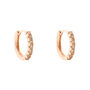 Orecchini A Cerchio Silver Rainbow Argento Rosa Cubic Zirconia