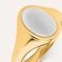 Anello Chevalier Radiance Acciaio Bicolore