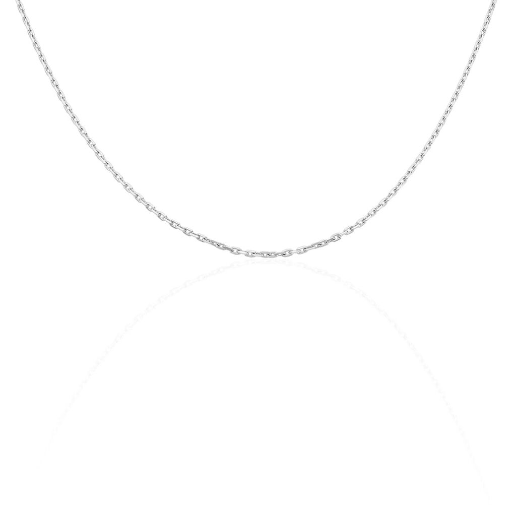 Catena Gentleman Argento Rodiato