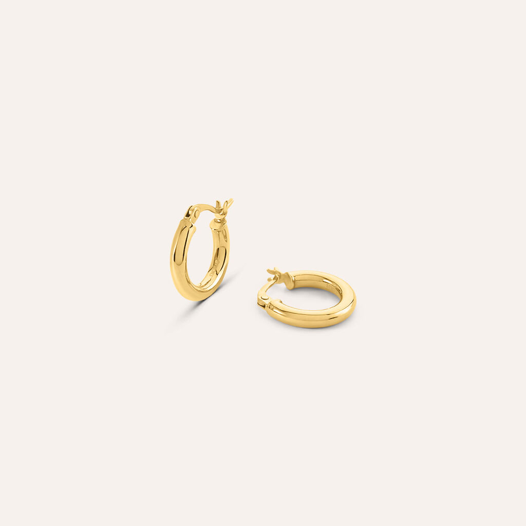 Orecchini A Cerchio Desideria Argento Nobile Dorato