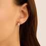 Orecchini Lobo Silver Elegance Argento Cubic Zirconia