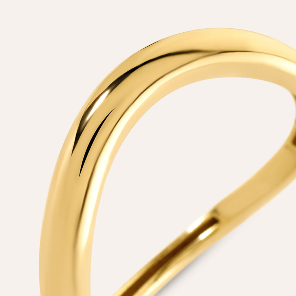 Anello Fantasia Desideria Argento Nobile Dorato