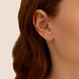 Ear Cuff Silver Collection Argento Dorato
