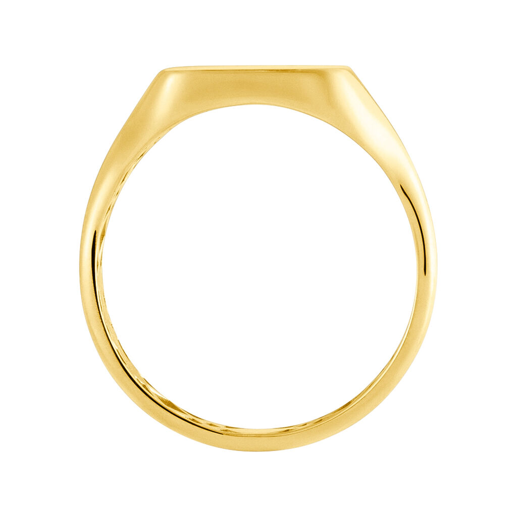 Anello Chevalier L'homme Or Oro Giallo - Anelli Chevalier Uomo | Stroili