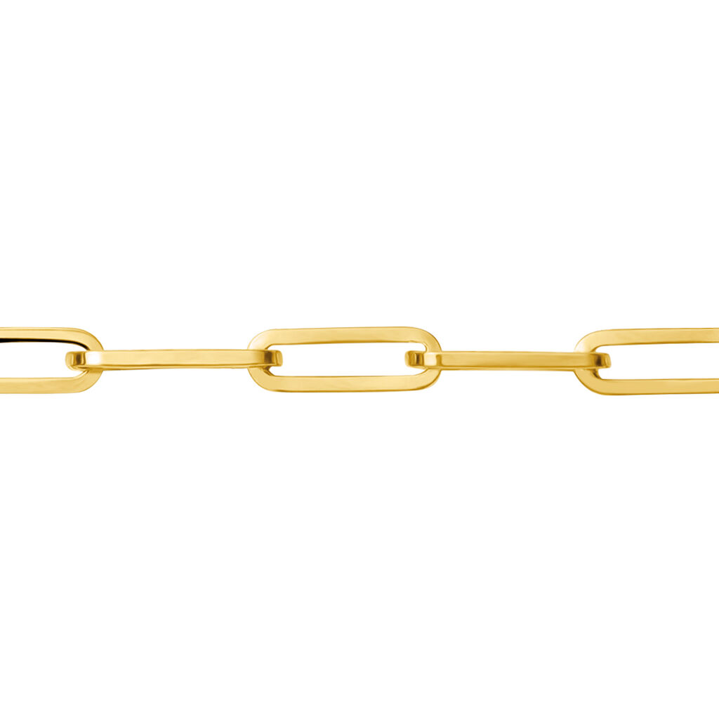 Catena Colette Oro Giallo - Collane Catena Donna | Stroili