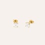 Orecchini Lobo Punto Luce Silver Glow Argento Dorato Cubic Zirconia