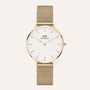 Orologio Al Quarzo Daniel Wellington Petite-evergold Dw00100348