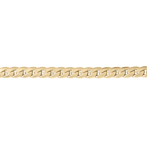 Catena Golden Dream Placcato Oro Giallo - Collane Catena Donna | Stroili