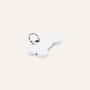 Pendente Pet Tag Acciaio