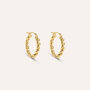 Orecchini A Cerchio Toujours Oro Giallo