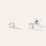 Orecchini Lobo Punto Luce Grace Oro Bianco Diamante