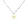 Girocollo con ciondolo stella in acciaio bicolore e strass