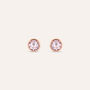 Orecchini Lobo Punto Luce Silver Rainbow Argento Rosa Cubic Zirconia