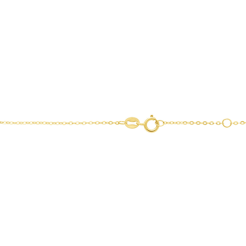 Bracciale Catena Isabelle Oro Giallo - Bracciali Donna | Stroili