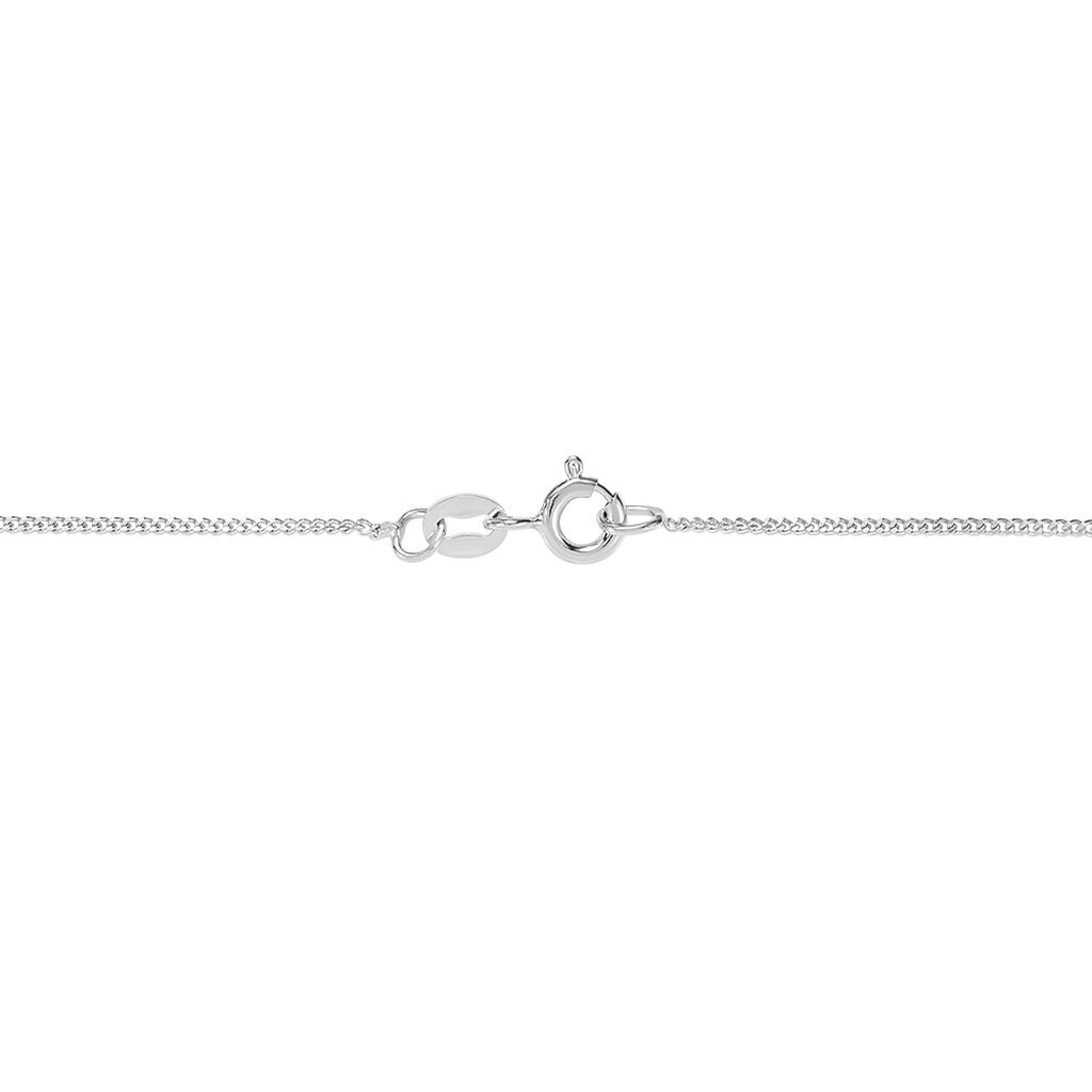 Catena Silver Collection Argento Rodiato - Collane Catena Donna | Stroili