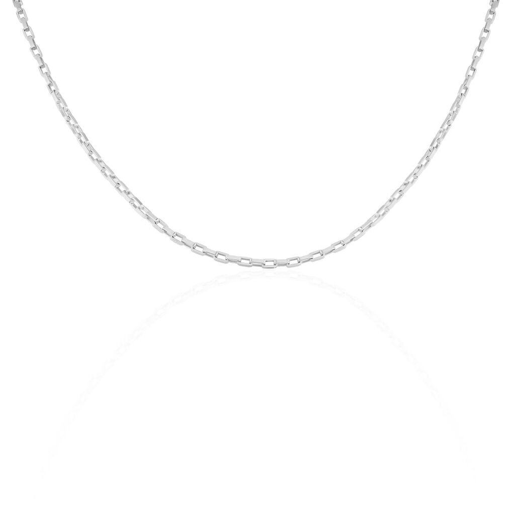 Catena Gentleman Argento Rodiato - Collane Catena Uomo | Stroili