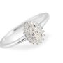 Anello Solitario Kate Silver Elegance Argento Rodiato Cubic Zirconia