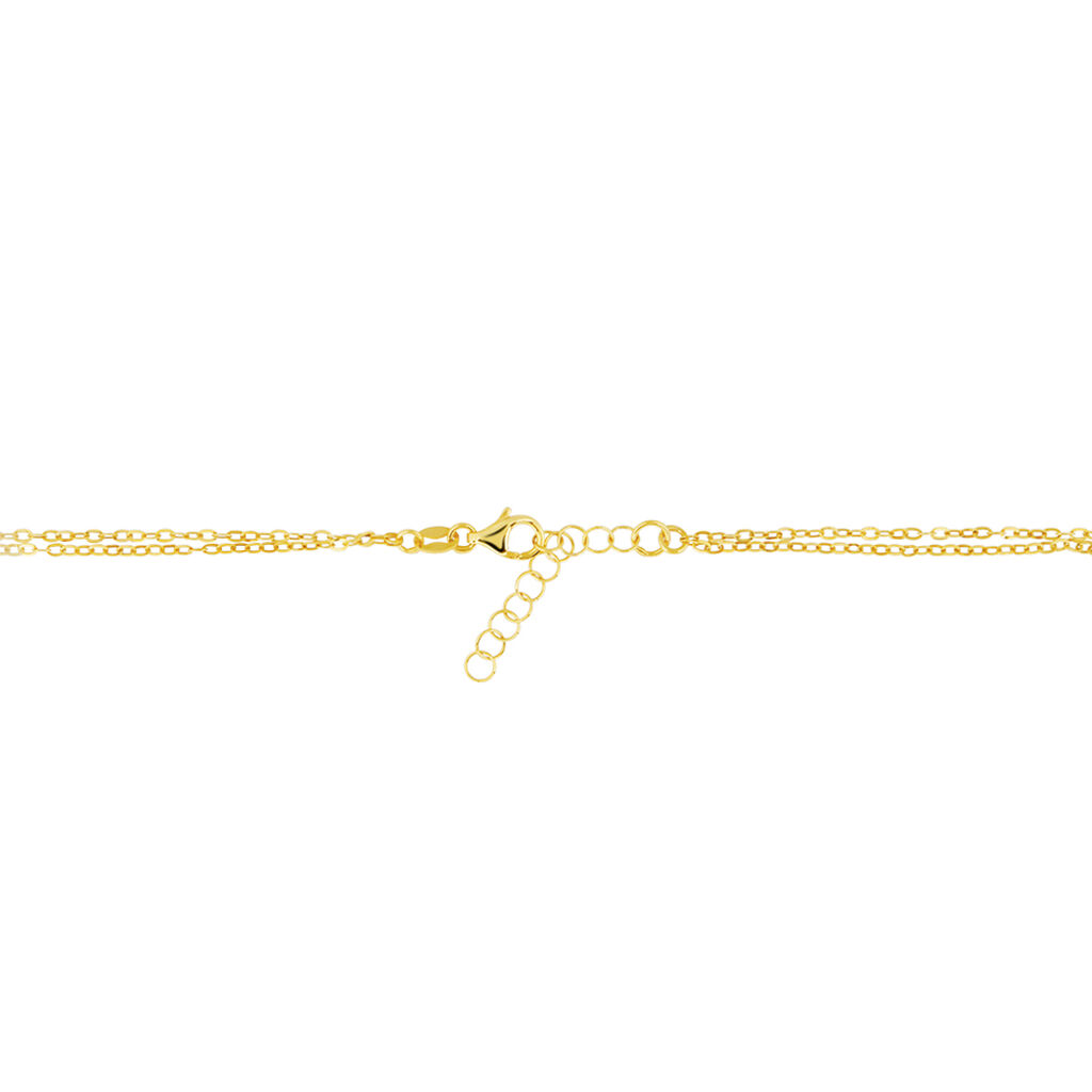 Catena Isabelle Oro Giallo - Collane Catena Donna | Stroili