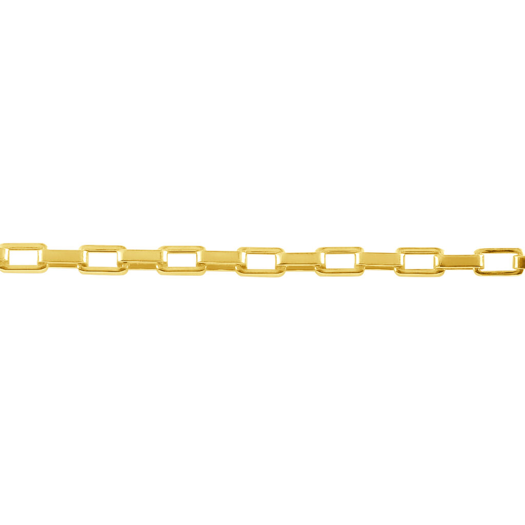 Catena L'homme Or Oro Giallo - Collane Catena Uomo | Stroili