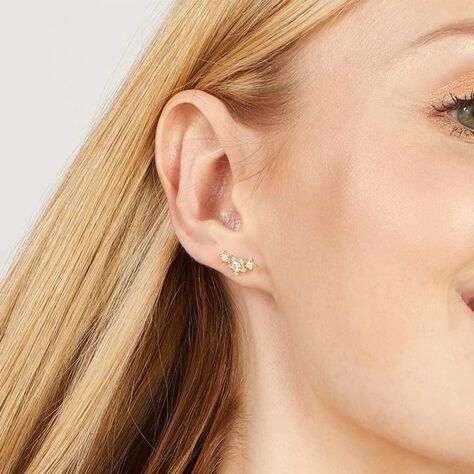 Orecchini Lobo Bon Ton Oro Giallo Cubic Zirconia - Orecchini a Lobo Donna | Stroili