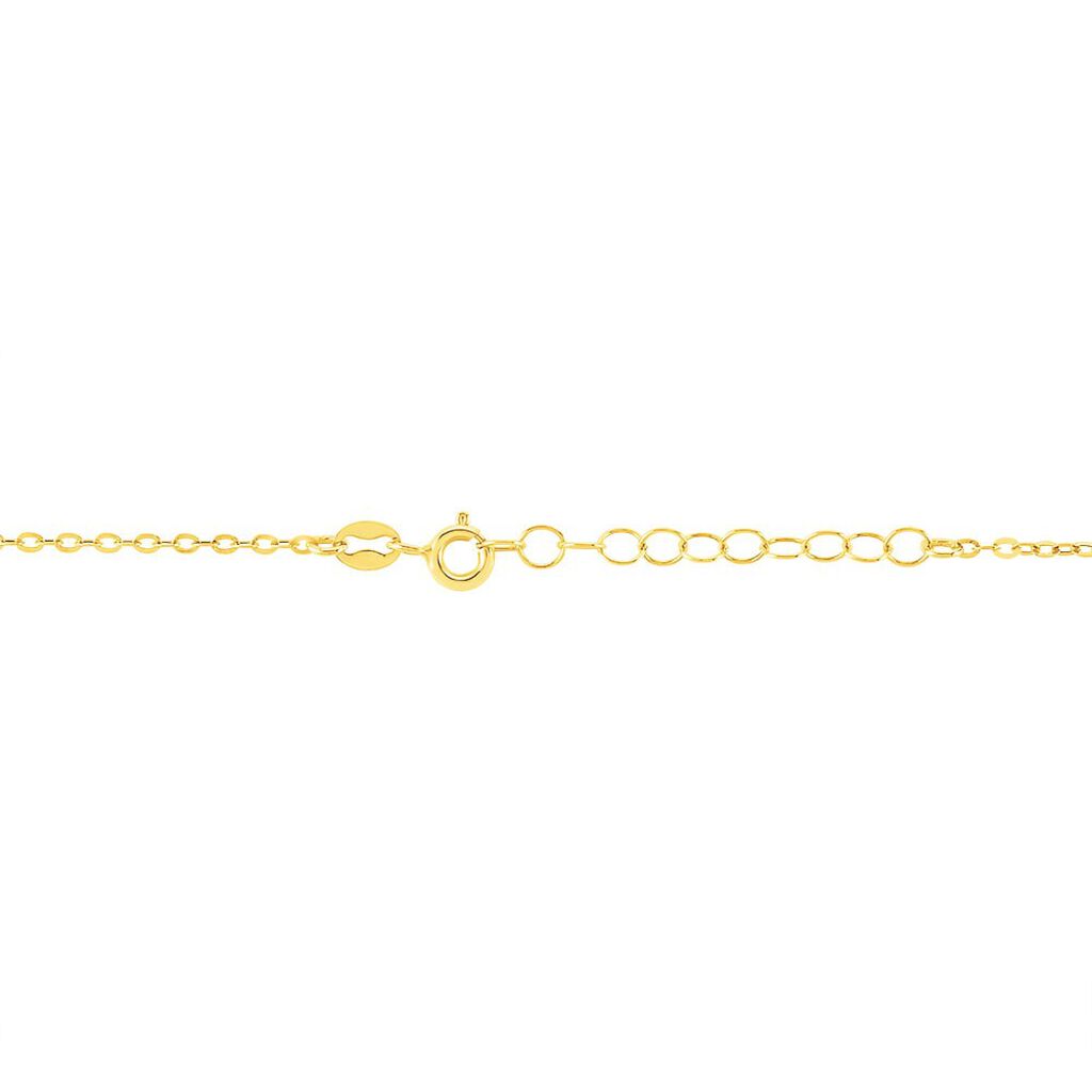 Catena Beverly Oro Giallo - Collane Catena Donna | Stroili