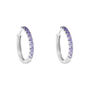 Orecchini A Cerchio Silver Rainbow Argento Rodiato Cubic Zirconia