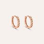 Orecchini A Cerchio Silver Rainbow Argento Rosa Cubic Zirconia
