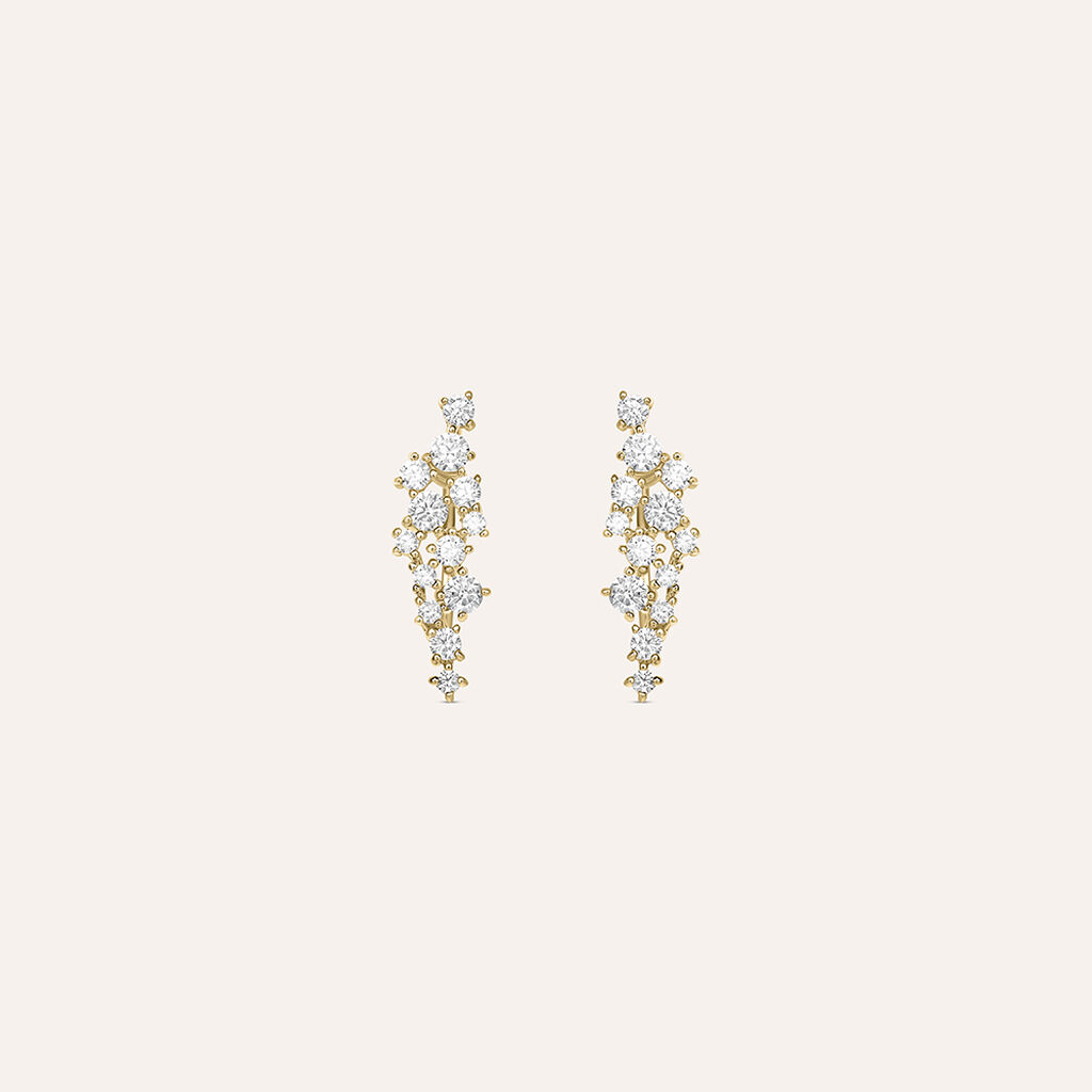 Orecchini Lobo Golden Dream Placcato Oro Giallo Cubic Zirconia