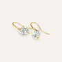 Orecchini Lobo Punto Luce Claire Oro Giallo Cubic Zirconia