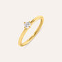 Anello Solitario Desideria Argento Nobile Dorato Cubic Zirconia