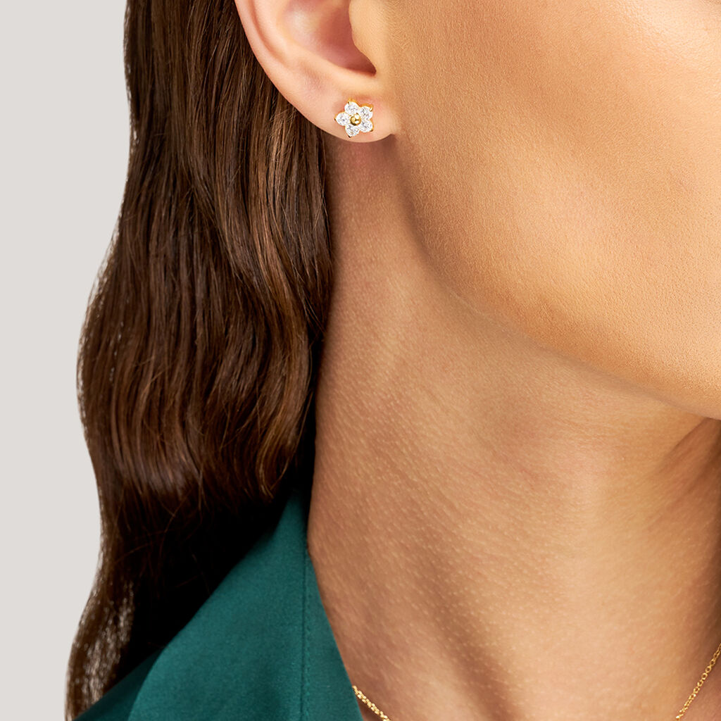 Orecchini Lobo Radiance Acciaio Dorato Cristallo