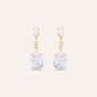 Orecchini Pendenti Aura Acciaio Dorato Cubic Zirconia