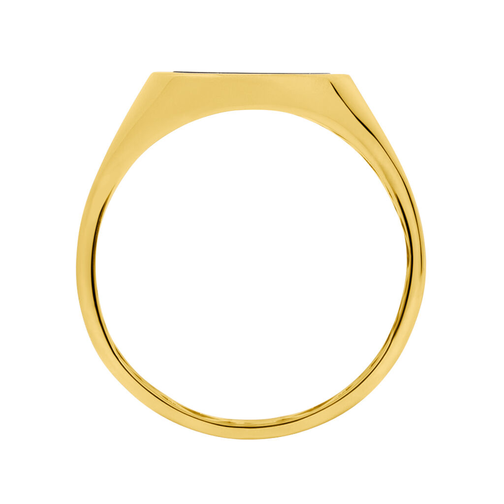 Anello Chevalier L'homme Or Oro Giallo Onice - Anelli Chevalier Uomo | Stroili