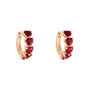 Orecchini A Cerchio Silver Rainbow Argento Rosa Cubic Zirconia